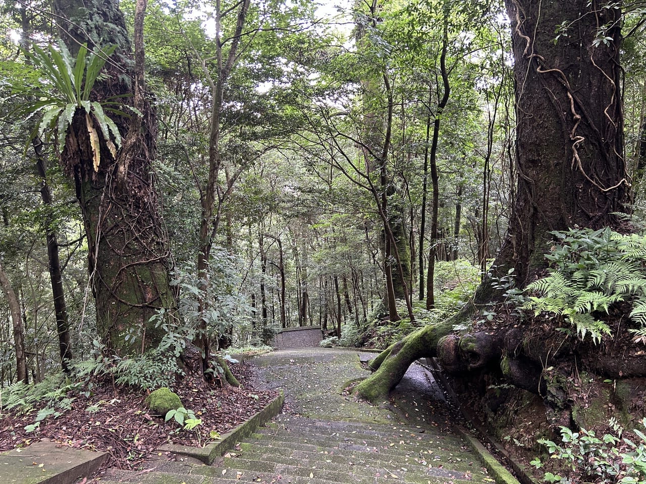 薩摩川内市の可愛山稜