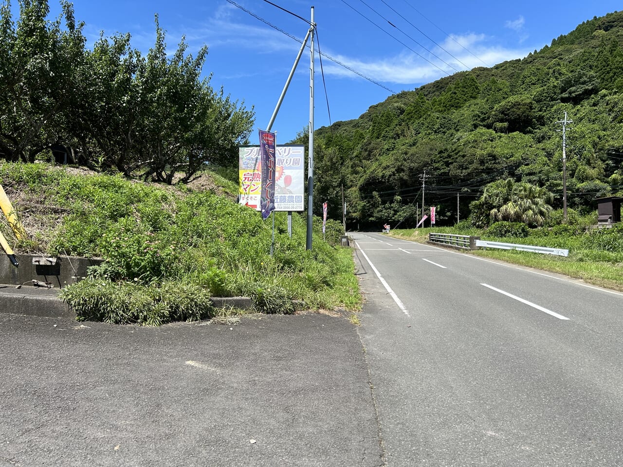 薩摩川内市の近藤農園の入り道