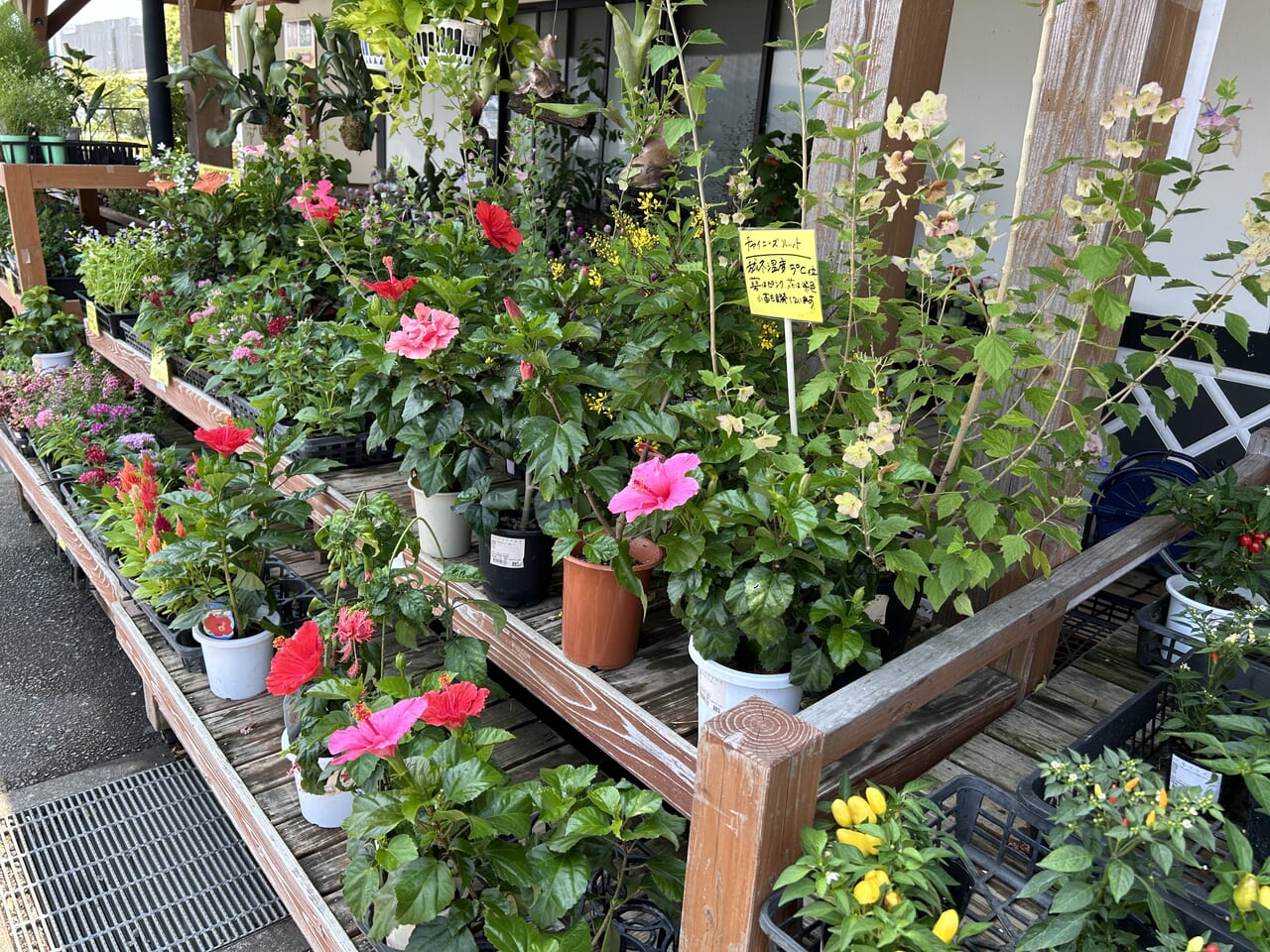 出水市の特産館いずみの花