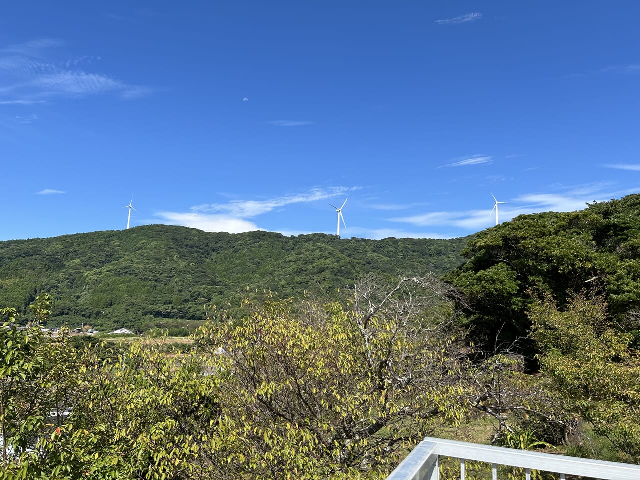 長島町のうずしおパークから見る風力発電