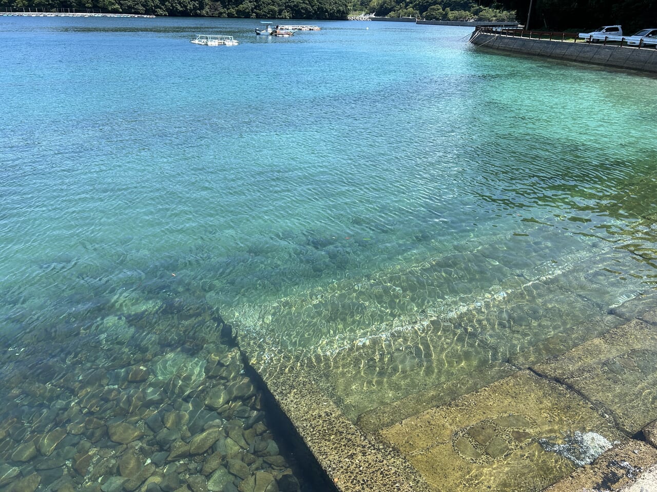 長島町えびす屋のグラスボート透明度