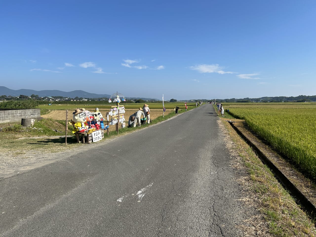 出水市野田町の青木地区かかし祭りのかかしロード