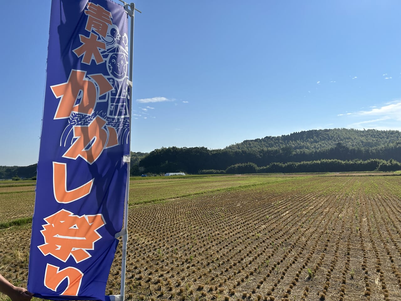 出水市野田町の青木地区かかし祭りののぼり