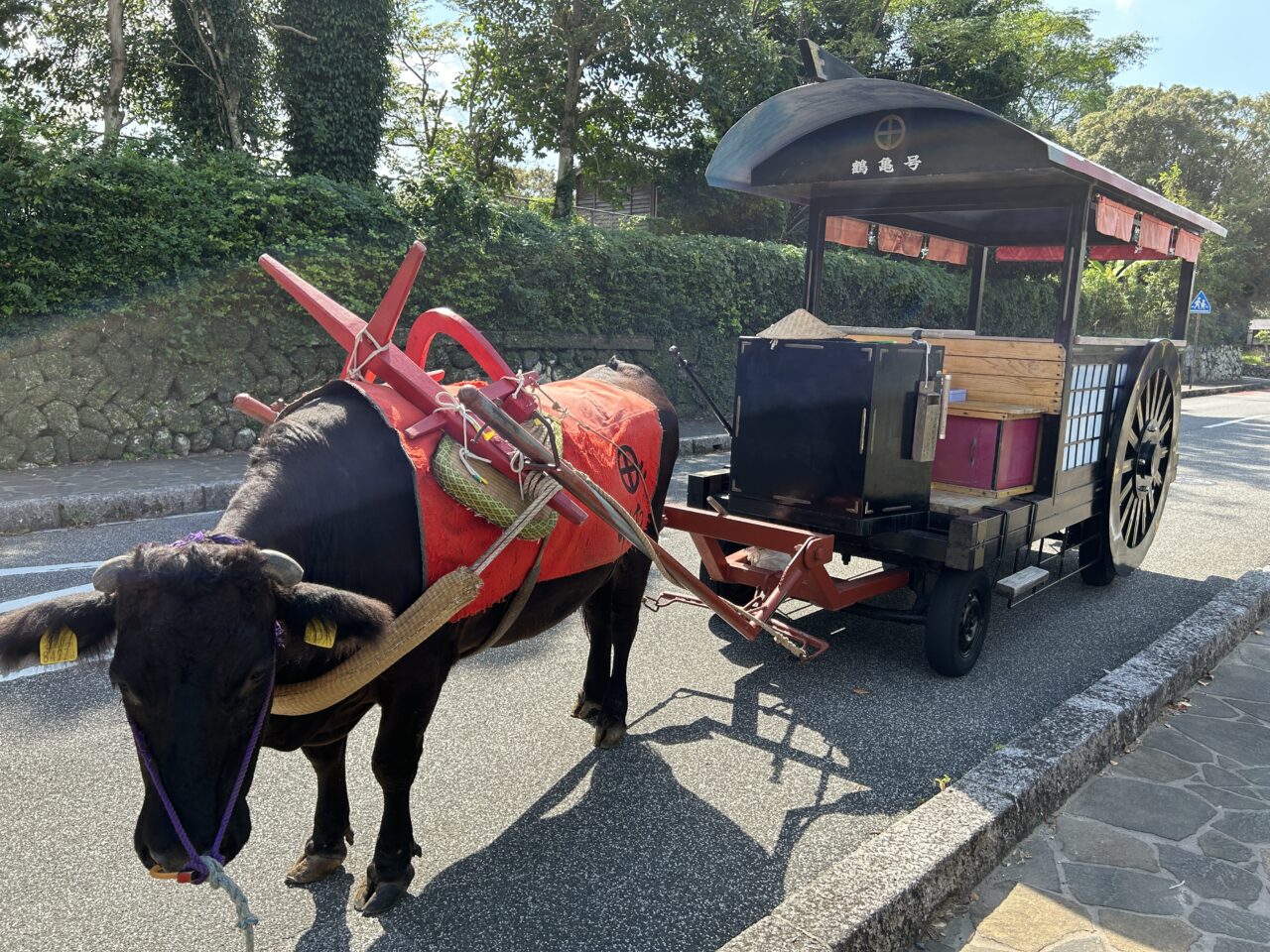 出水市ふもと遊びマルシェ牛車