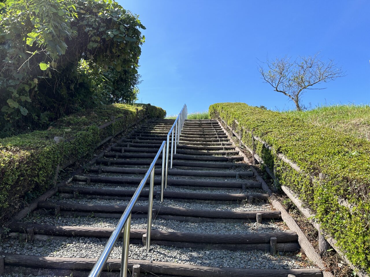 出水市上場高原の階段