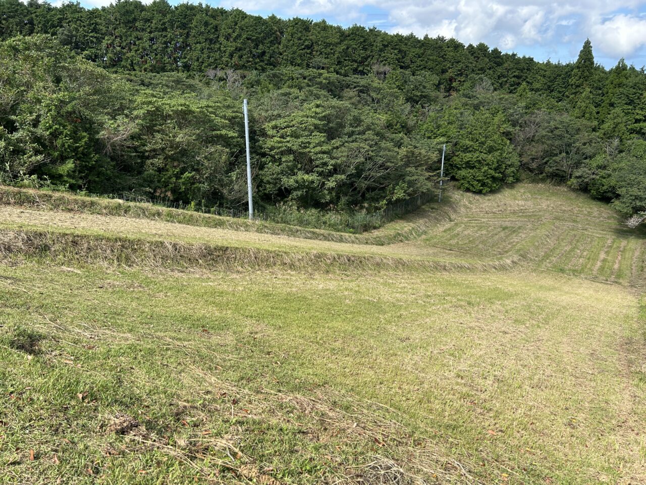 出水市上場高原の草スキー場所