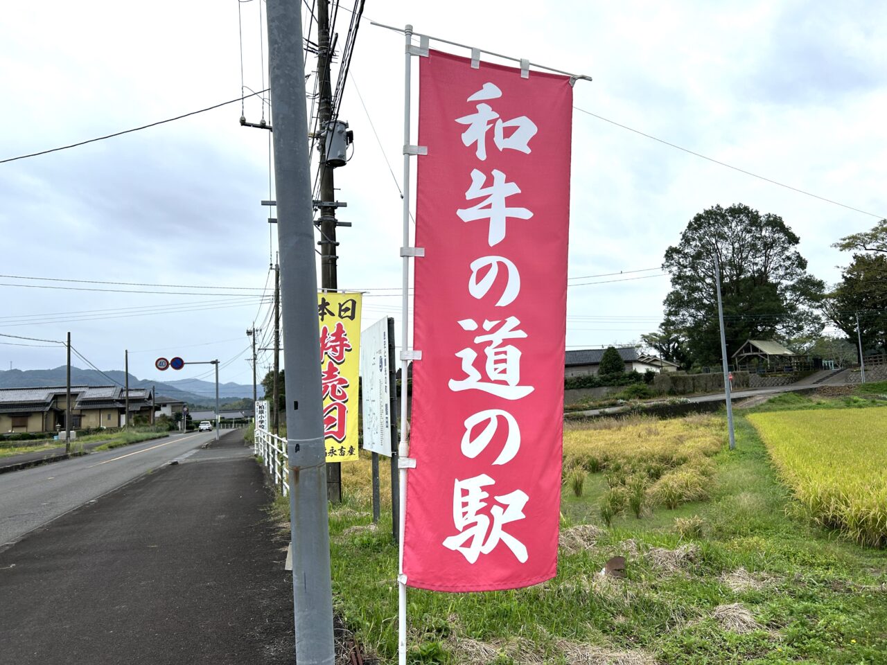 さつま町福永畜産ののぼり