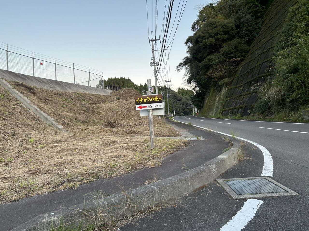 薩摩川内市上大迫イチョウの杜広場の案内