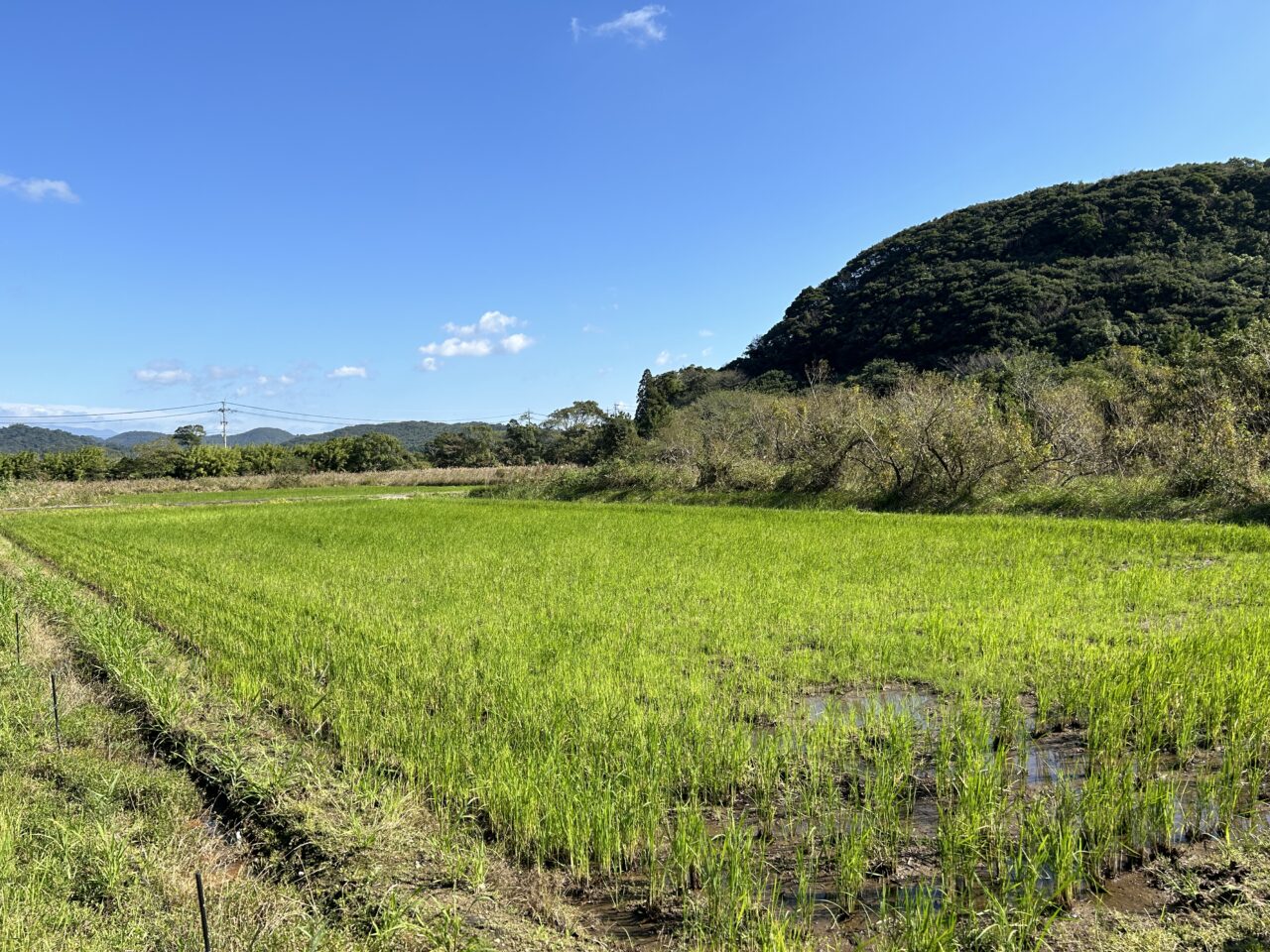 薩摩川内市KODAMAFARMSの田んぼ土壌作り