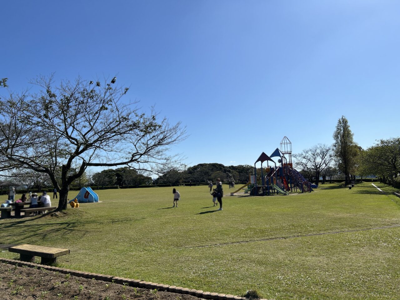 薩摩川内市寺山運動公園の広場