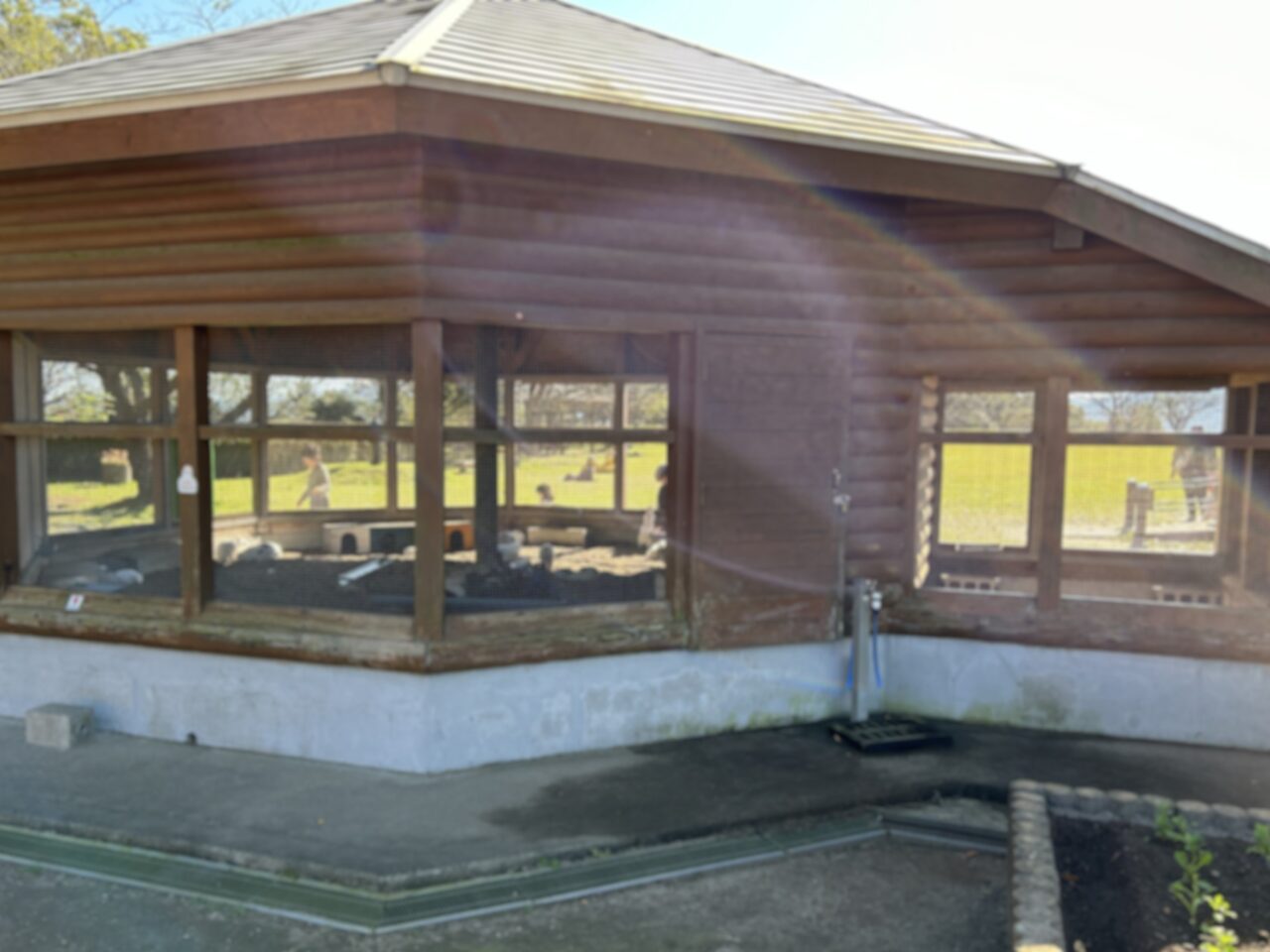 薩摩川内市寺山運動公園のウサギ小屋