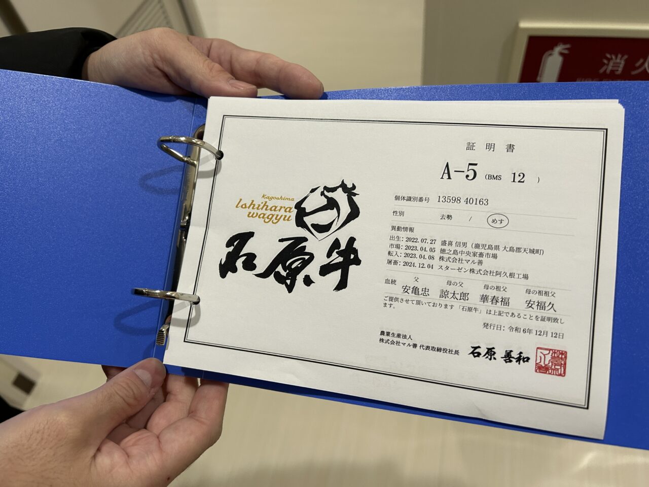 阿久根市石原牛の証明書