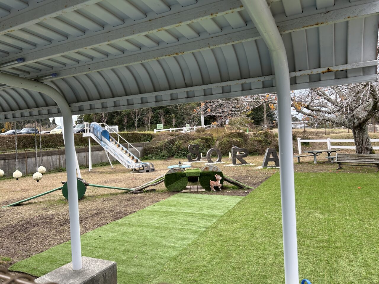 阿久根市農園ガーデン空のドッグラン