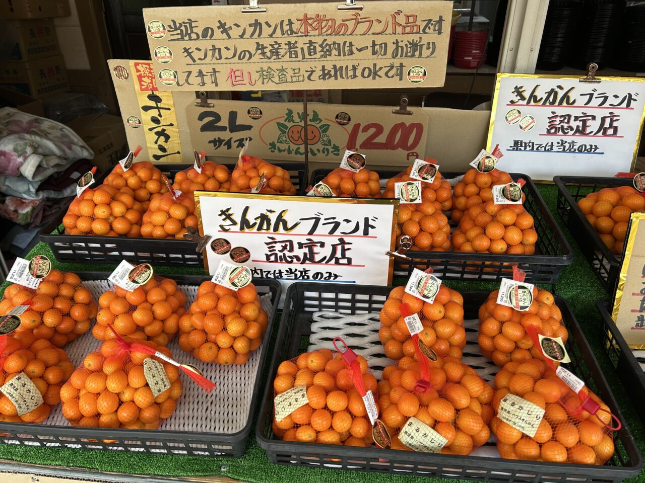 薩摩川内市入来きんかんの里ふれあい館の金柑　