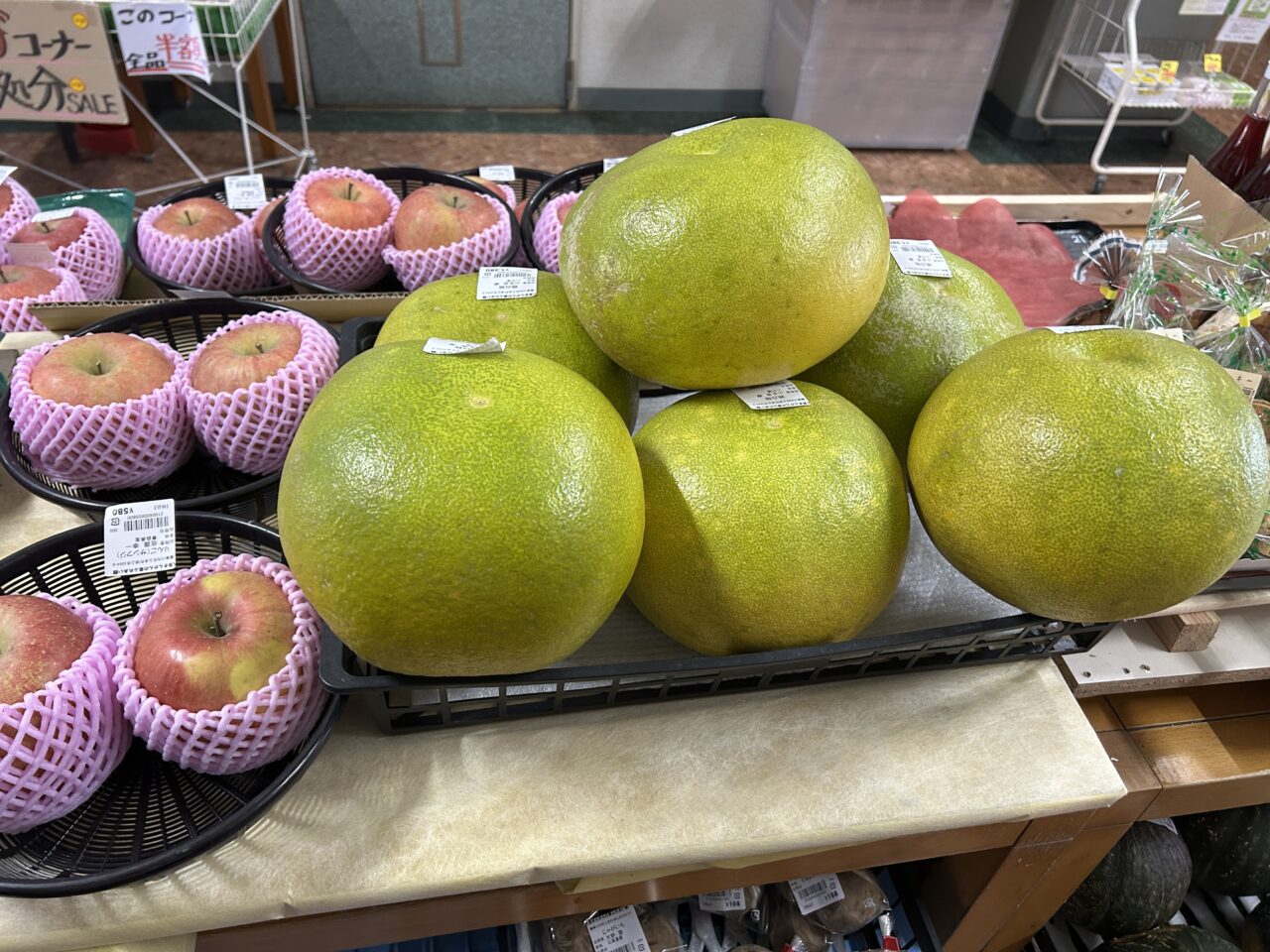 薩摩川内市入来きんかんの里ふれあい館の晩白柚