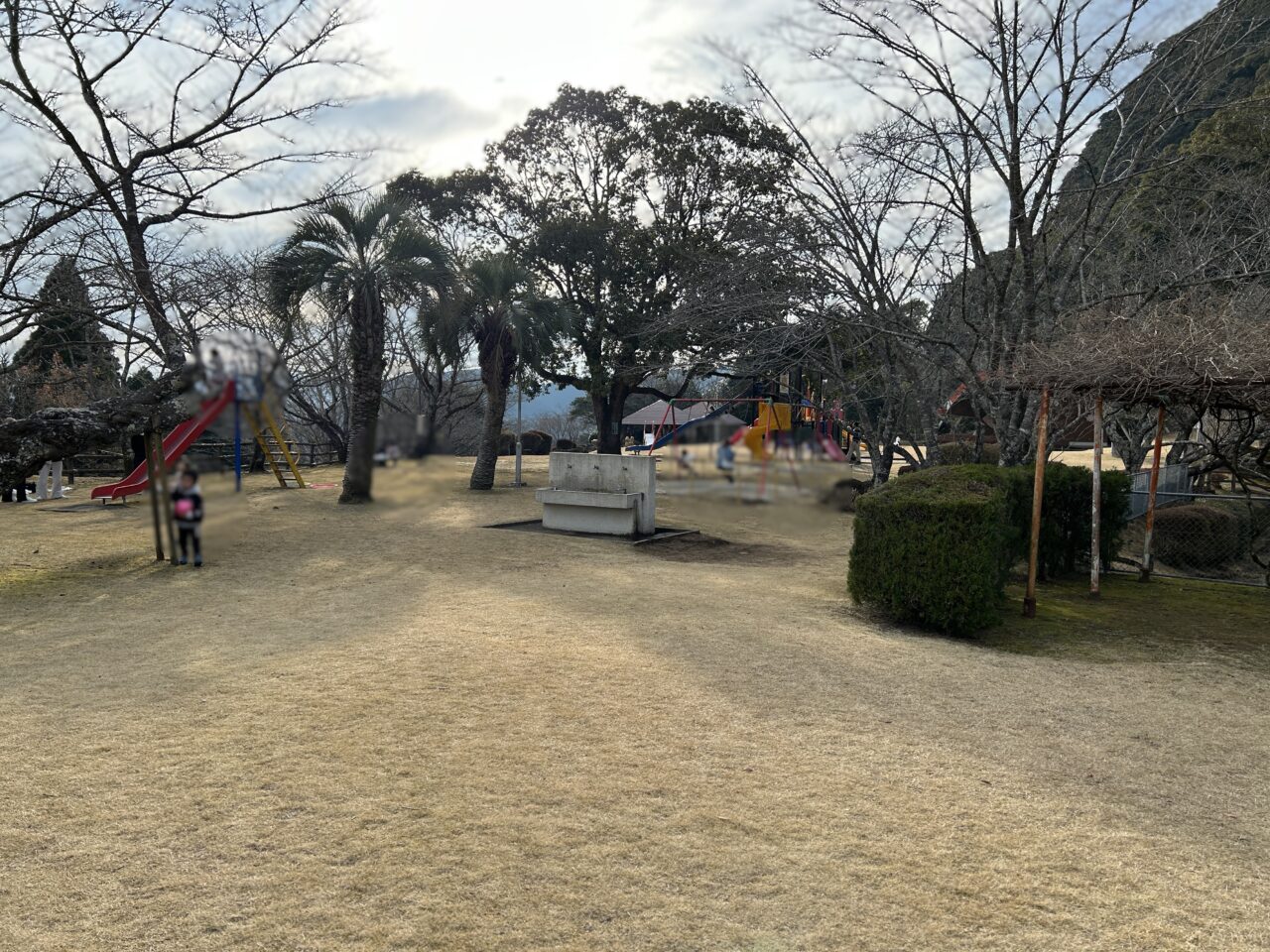 薩摩川内市丸山公園の広場