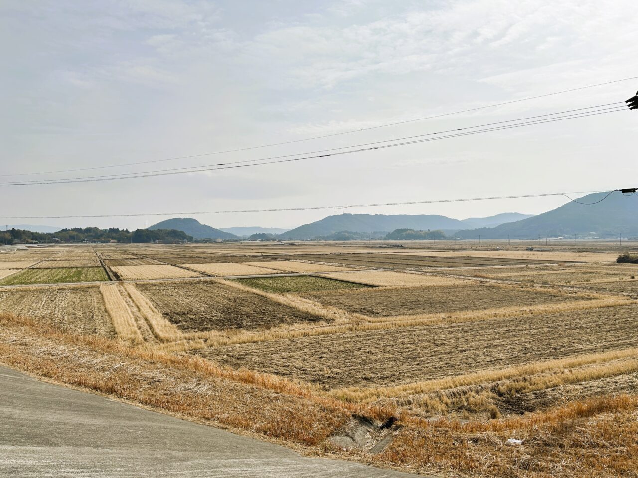 薩摩川内市高江田んぼ