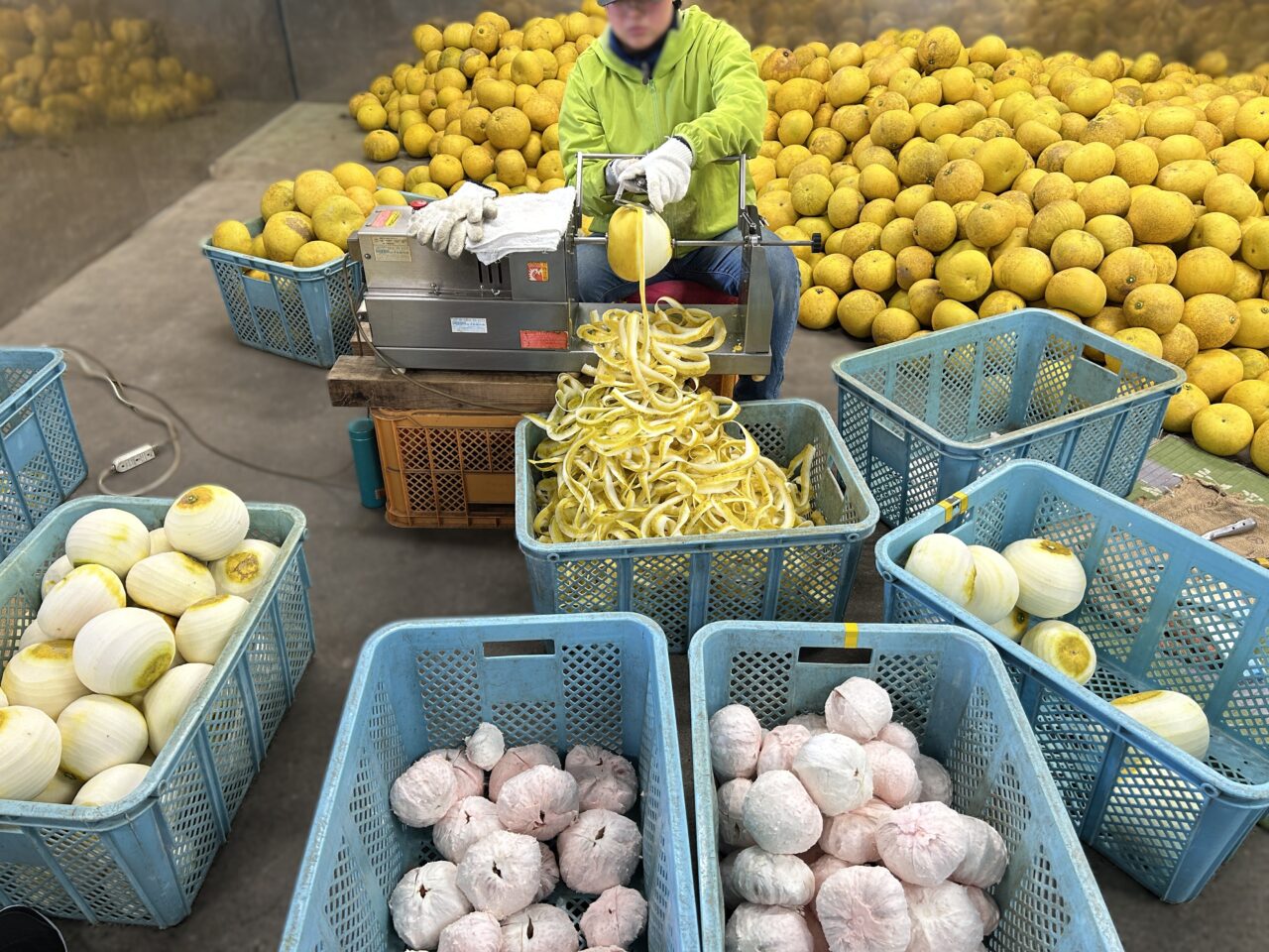 阿久根市泰平食品の薄皮剥き