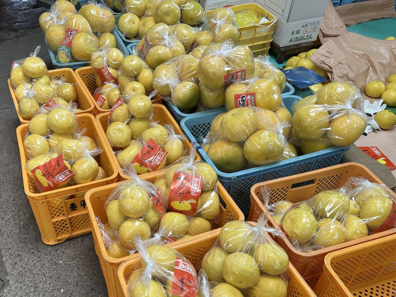 阿久根市泰平食品の販売用ボンタン