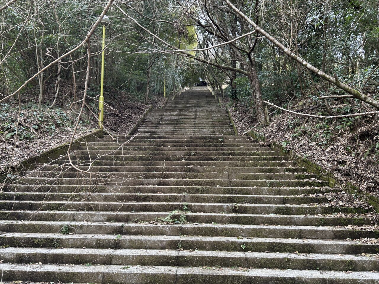 薩摩川内市向山自然公園展望台の階段