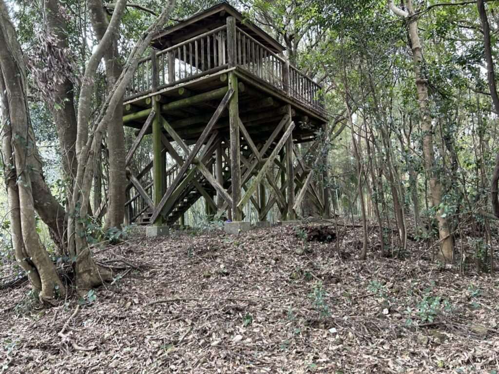 薩摩川内市向山自然公園展望台の展望台