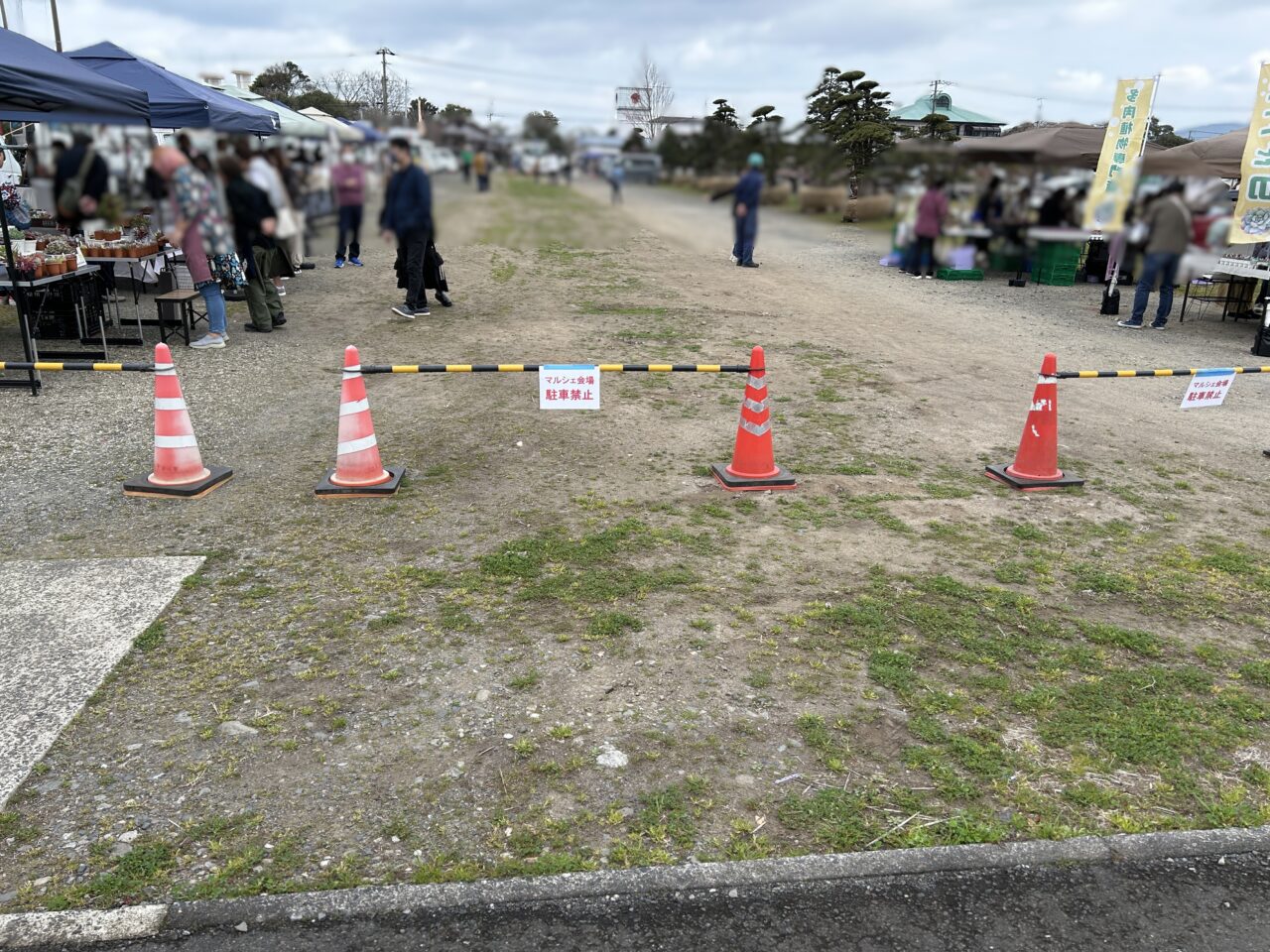 出水市植木市場グリーンマルシェのマルシェ