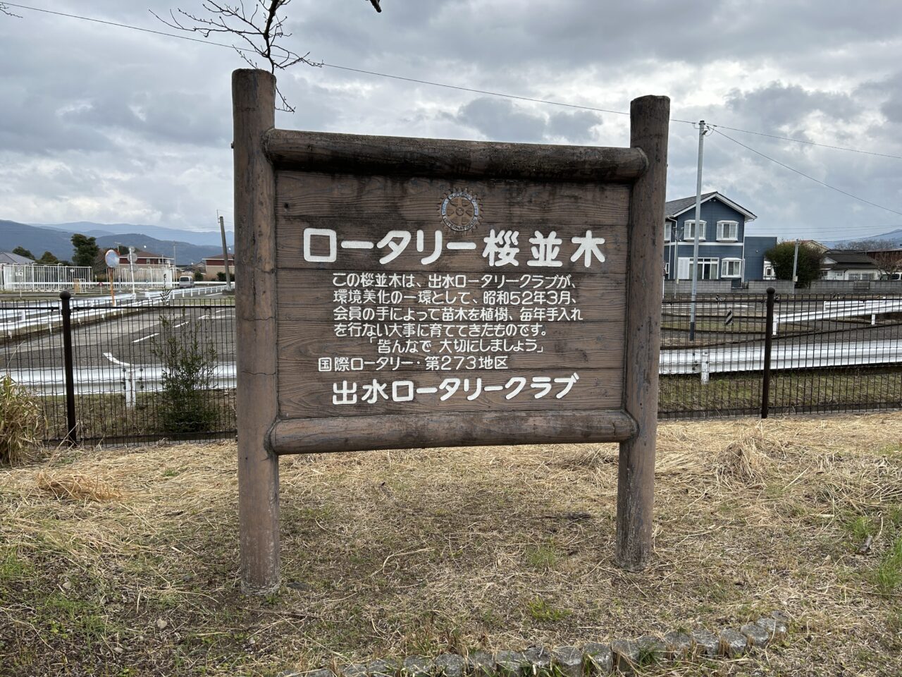 出水市特攻碑公園前の桜並木看板