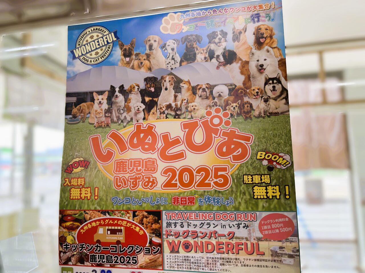 出水市いぬとぴあ鹿児島いずみ2025のポスター