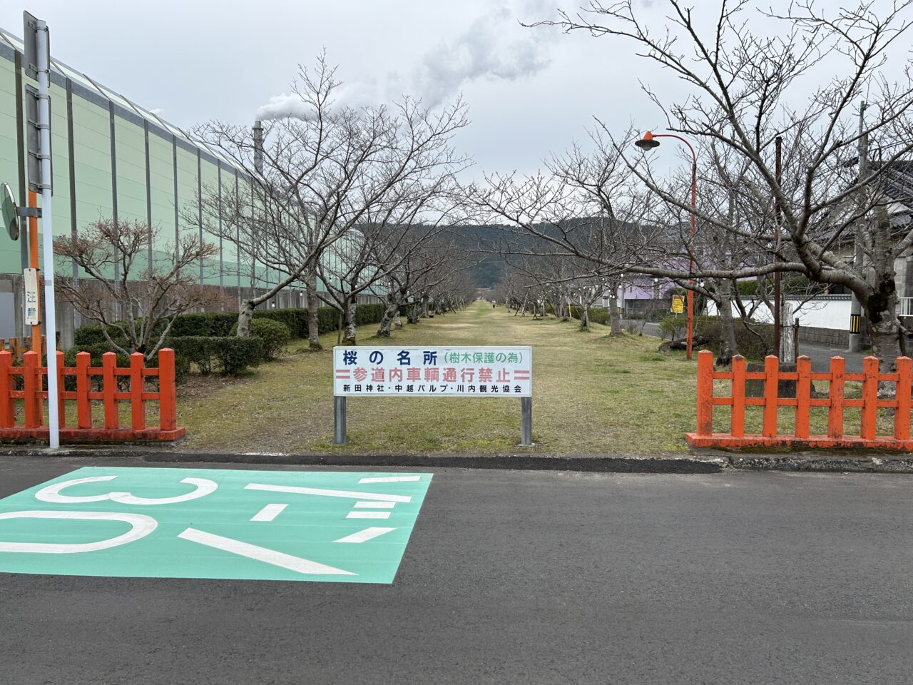 薩摩川内市新田八幡桜参道奥