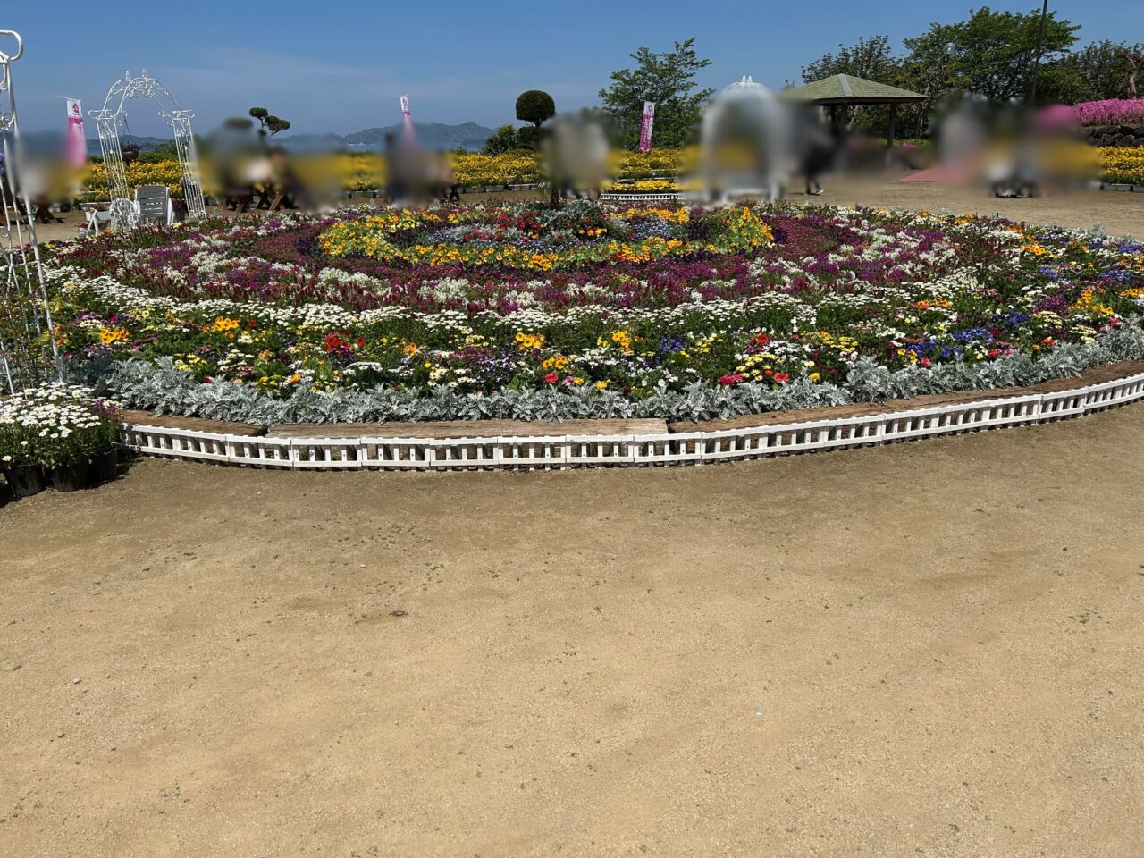 長島町サンセットの丘の花