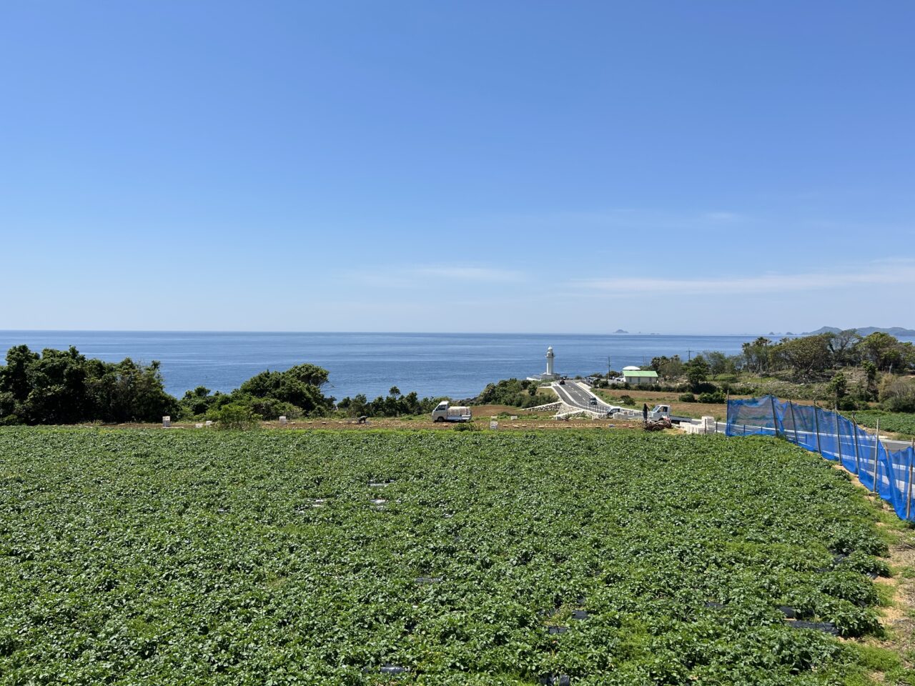 長島町灯台ブランコから見える景色