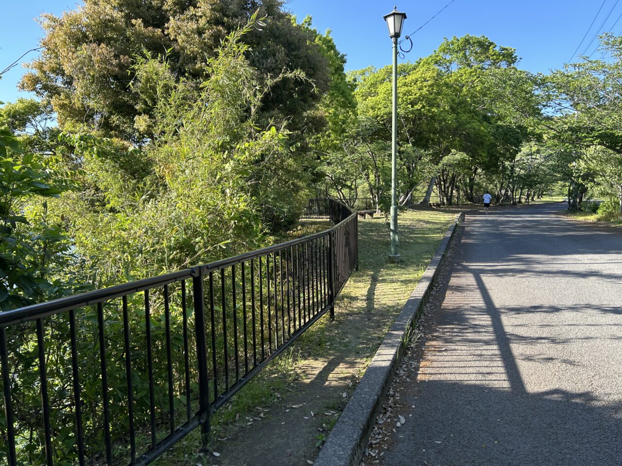 薩摩川内市中郷上池のランナー