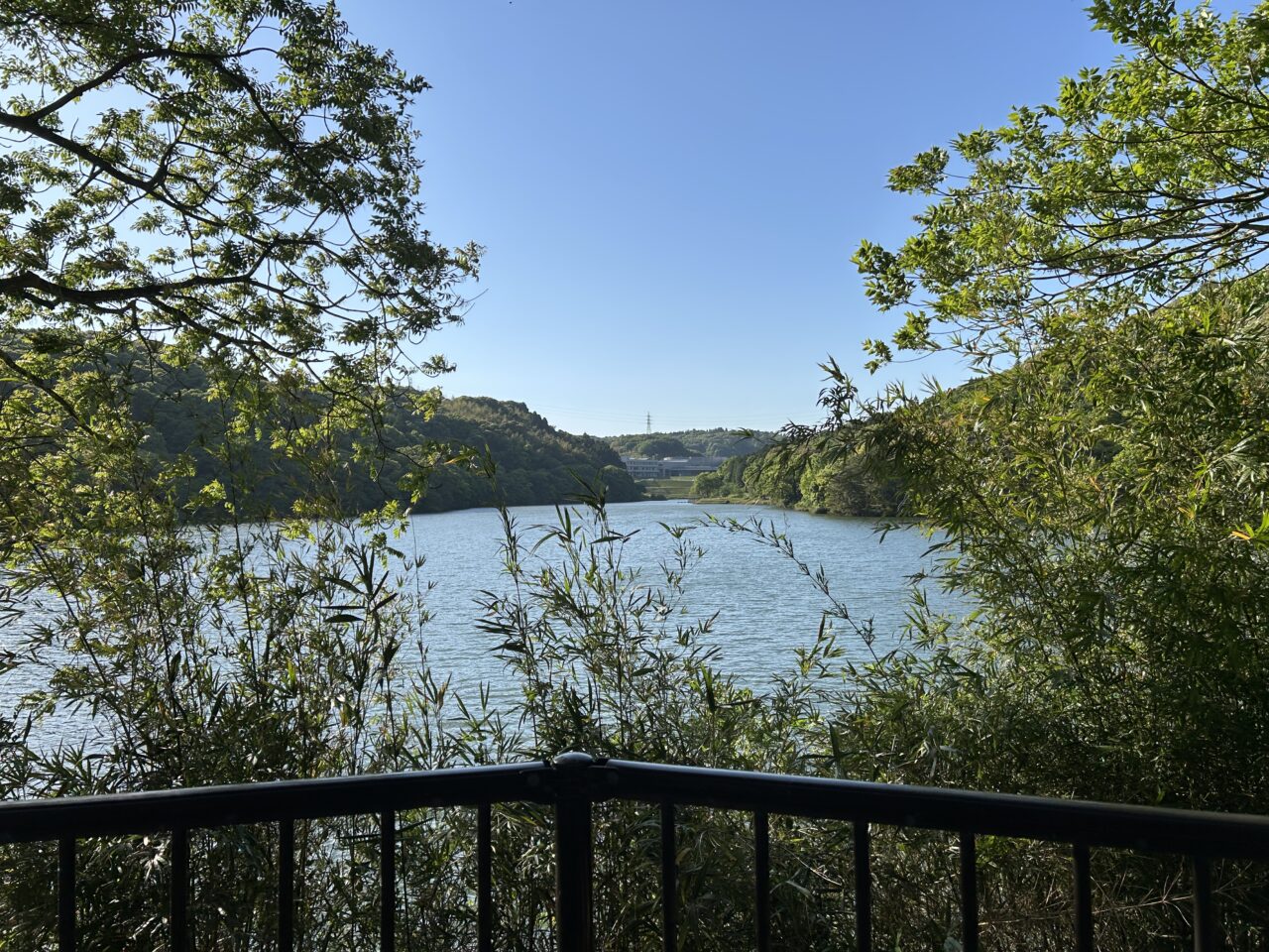 薩摩川内市中郷上池