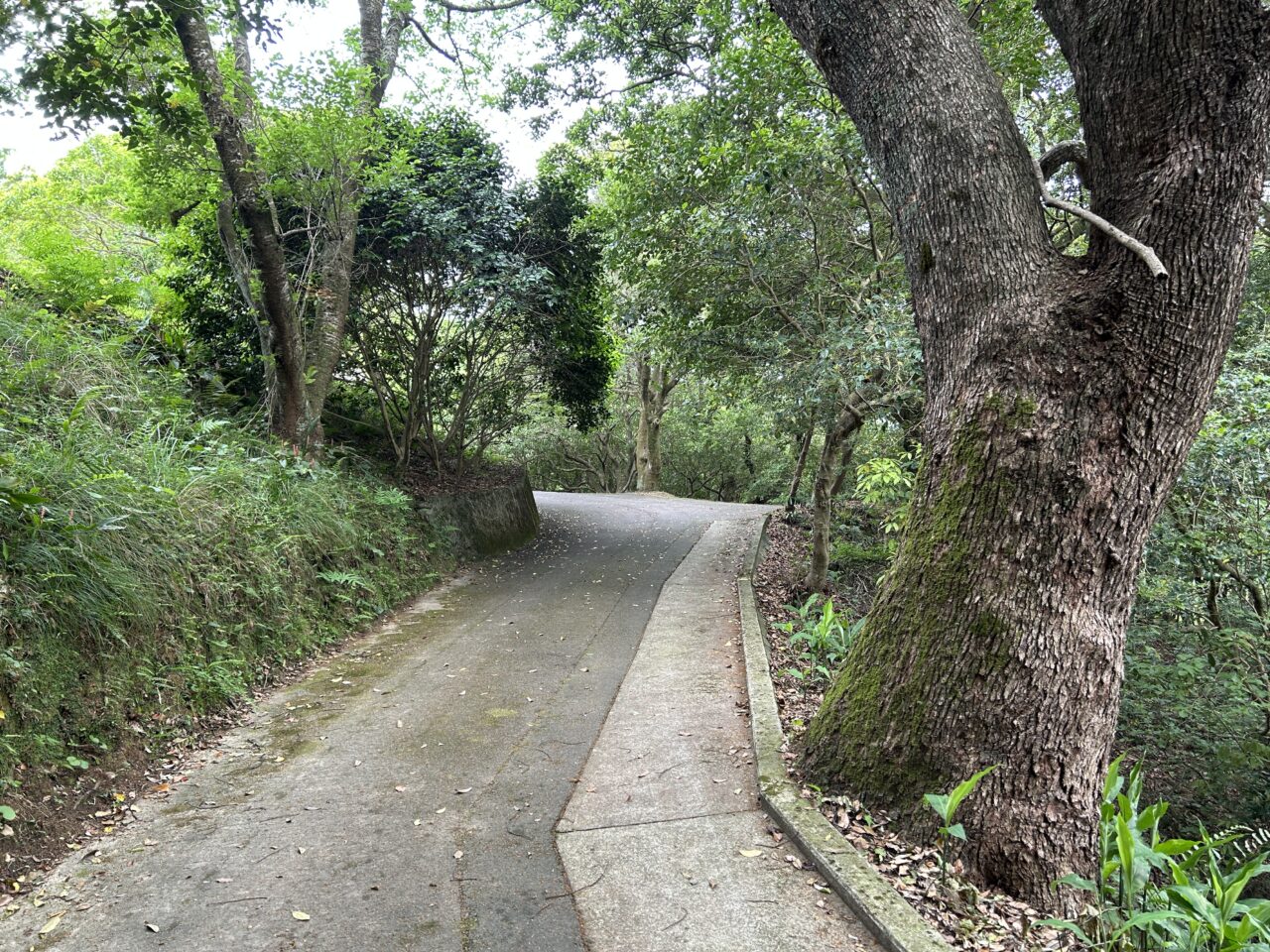 出水市川平の巨石群の道