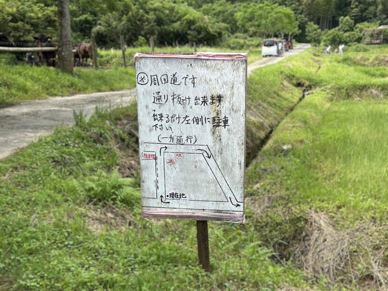 さつま町田原の棚田のスイレンの交通案内