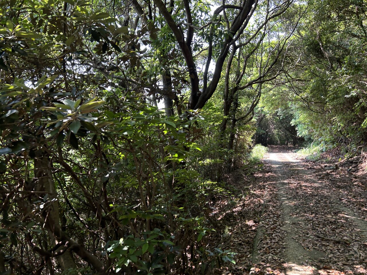 薩摩川内市天狗鼻海軍望楼台道