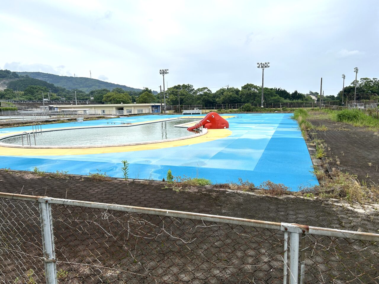 出水市海洋公園プールのプール