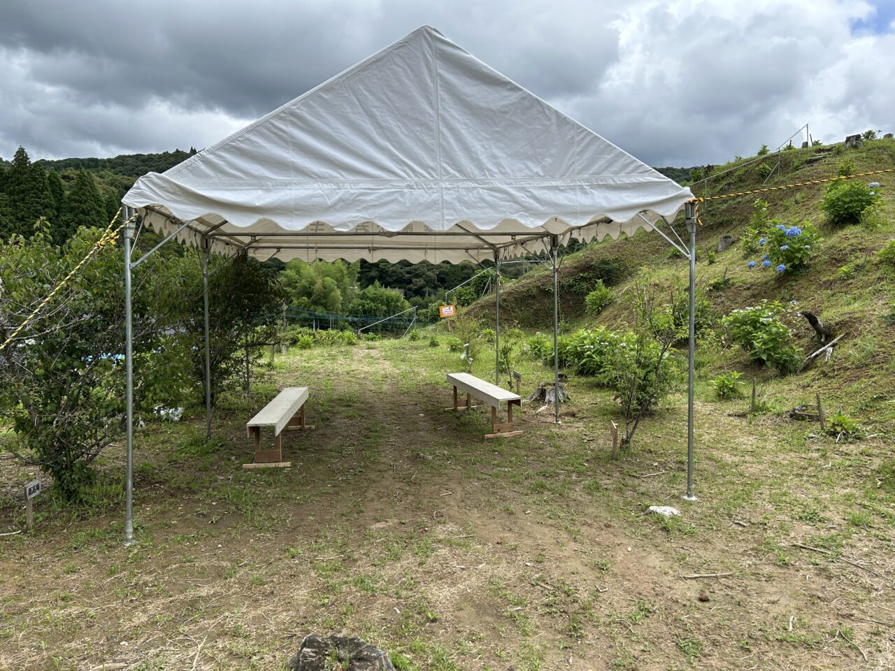 薩摩川内市田海町あじさい園のテント
