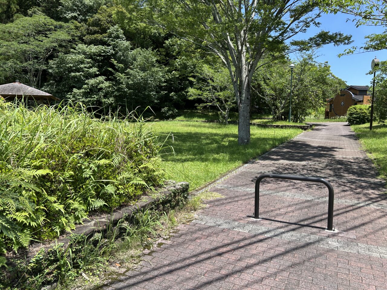 薩摩川内市回廊パークの林