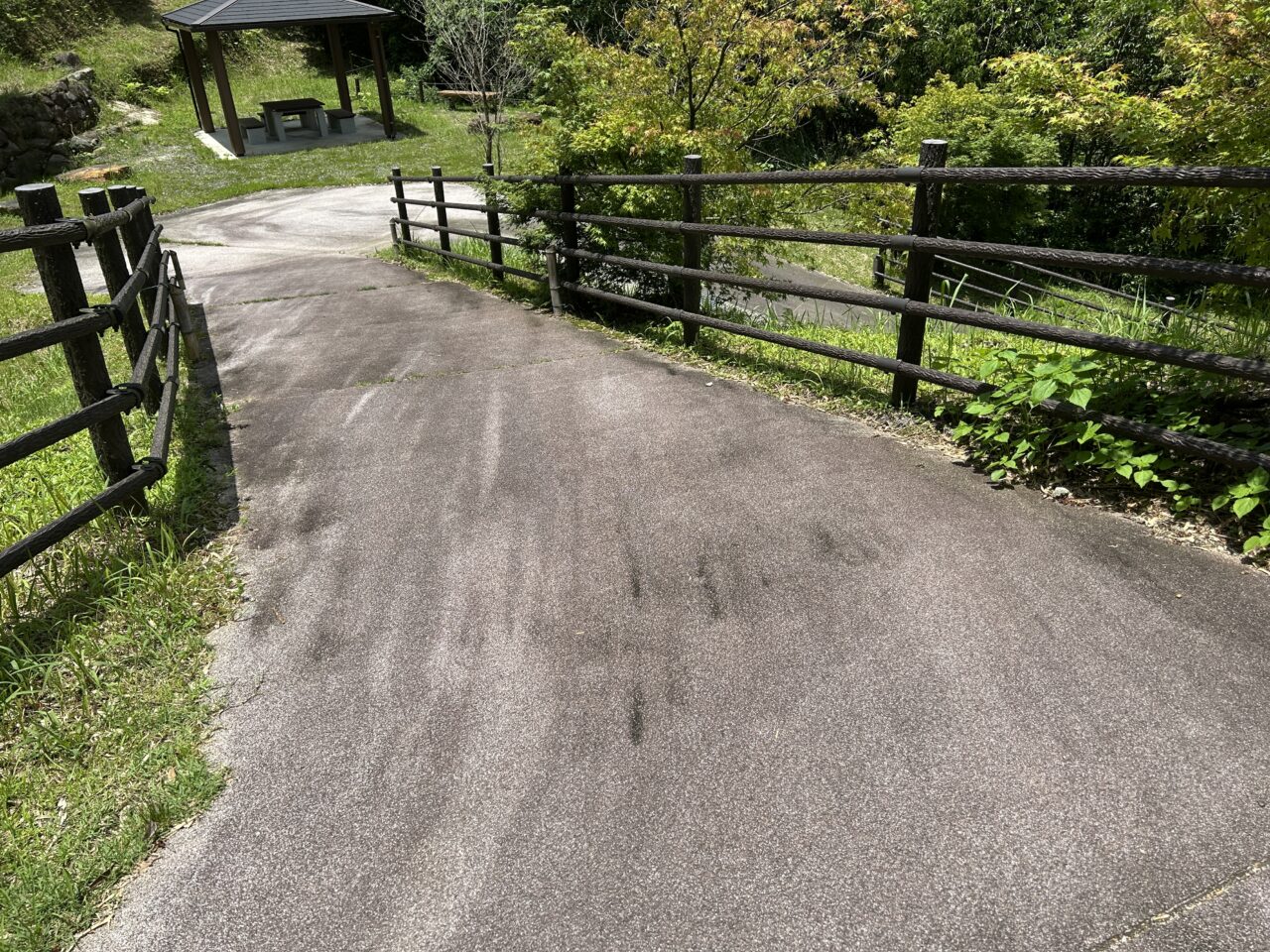 薩摩川内市藤本滝の舗装された道