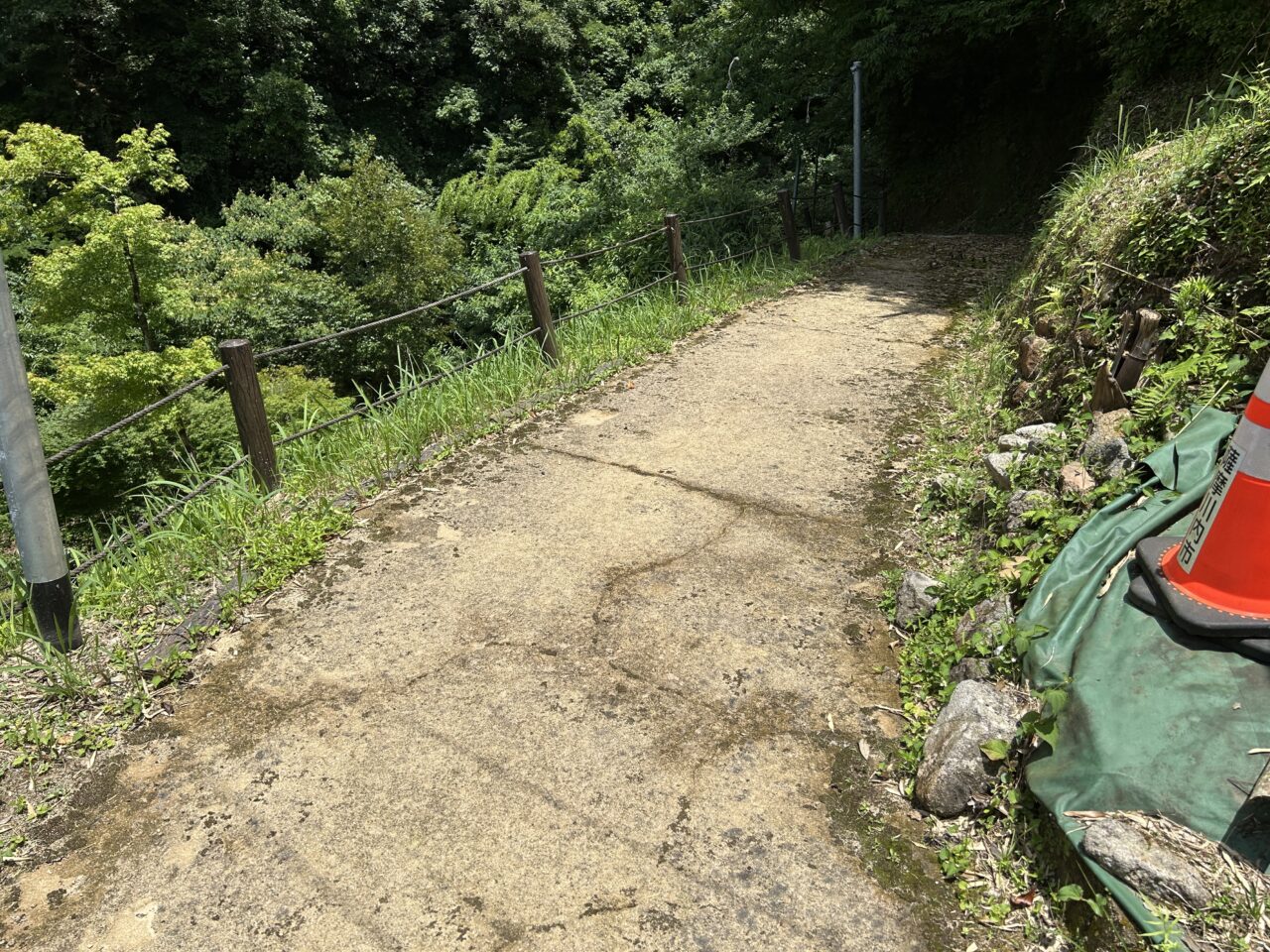 薩摩川内市藤本滝の険しい道