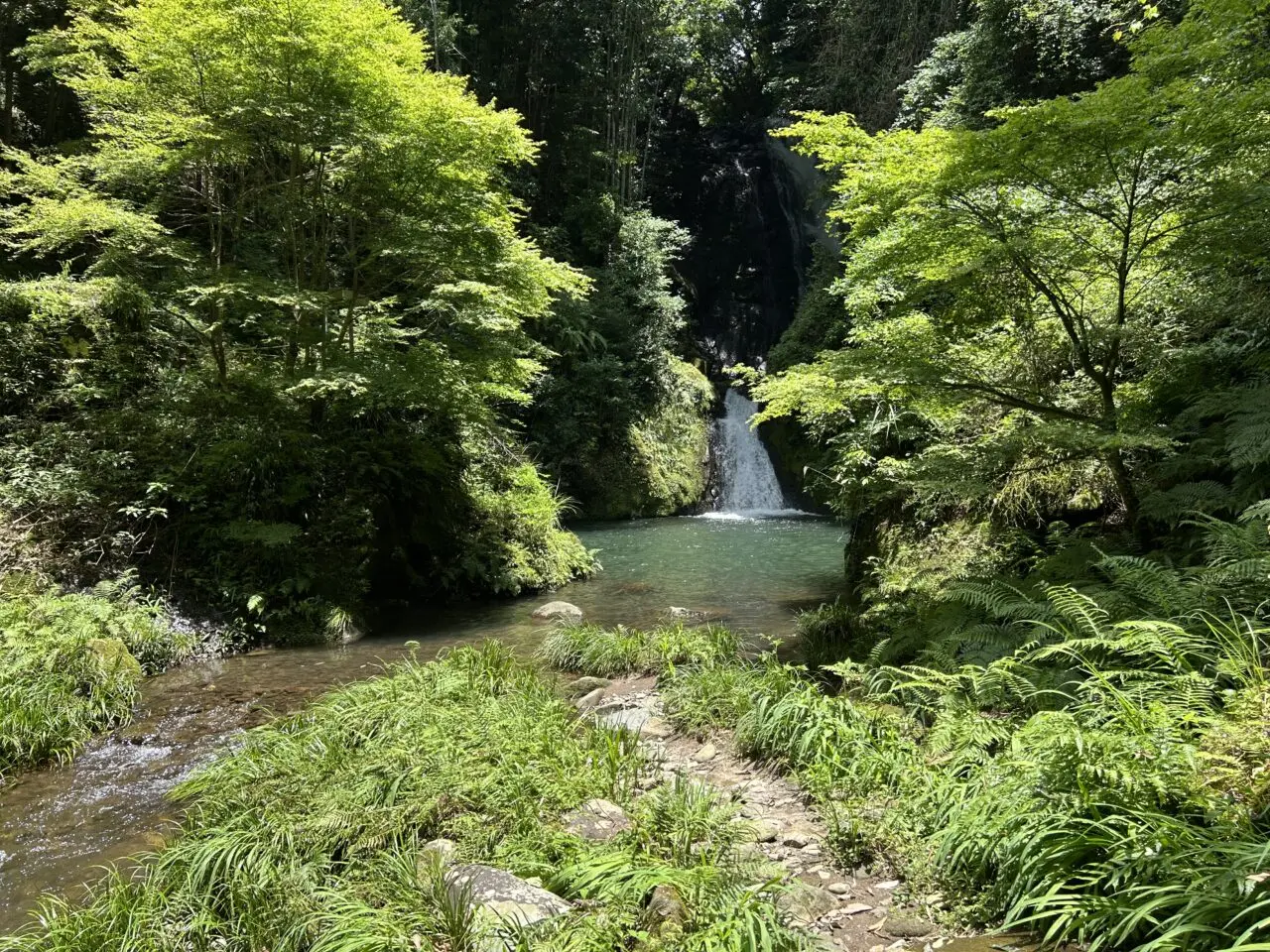 薩摩川内市藤本滝公園の滝
