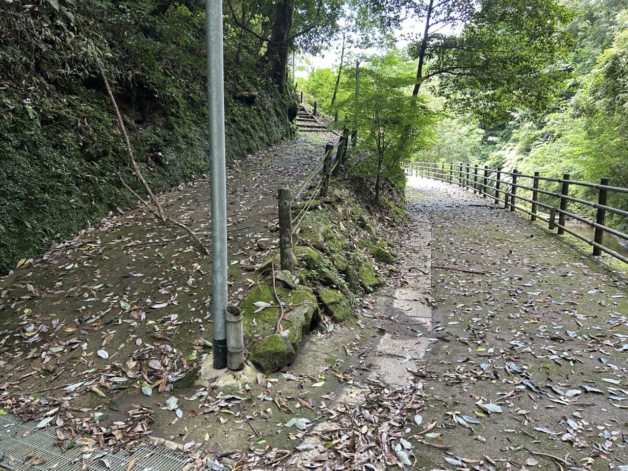薩摩川内市藤本滝の合流道路