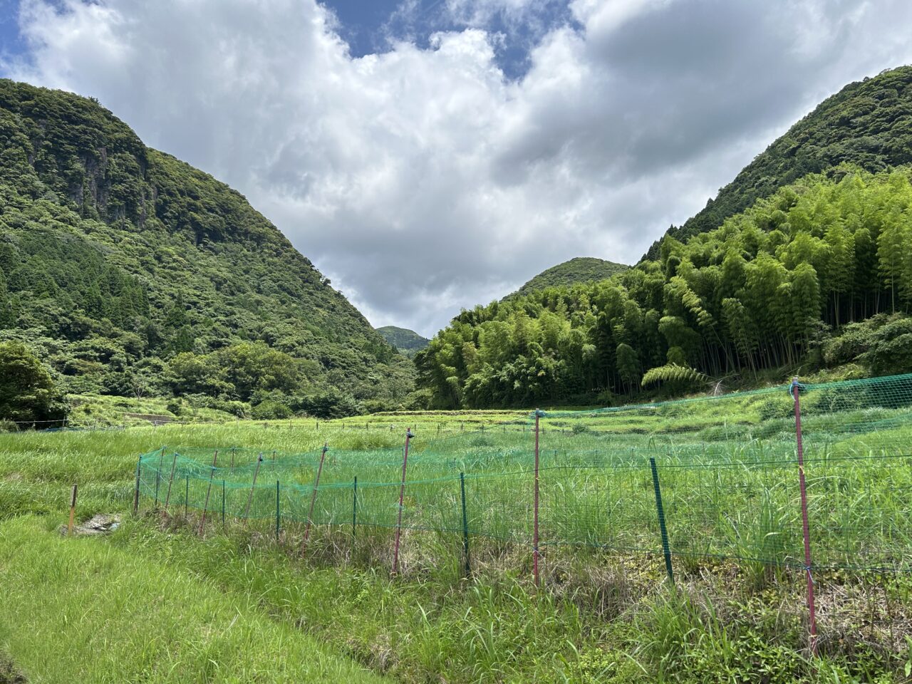 薩摩川内市岩下の棚田の棚田