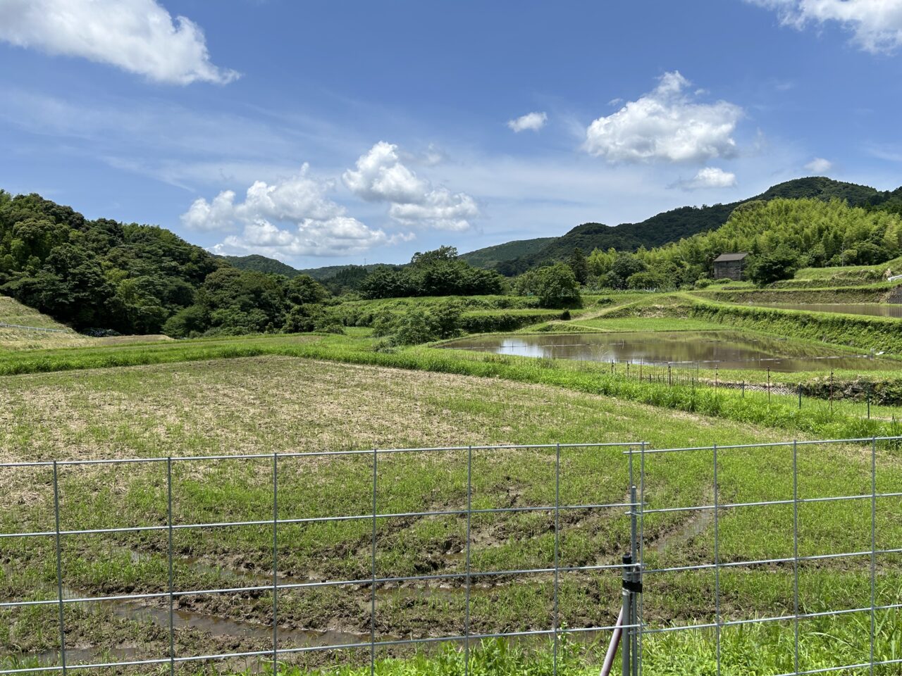 薩摩川内市岩下の棚田の田んぼ