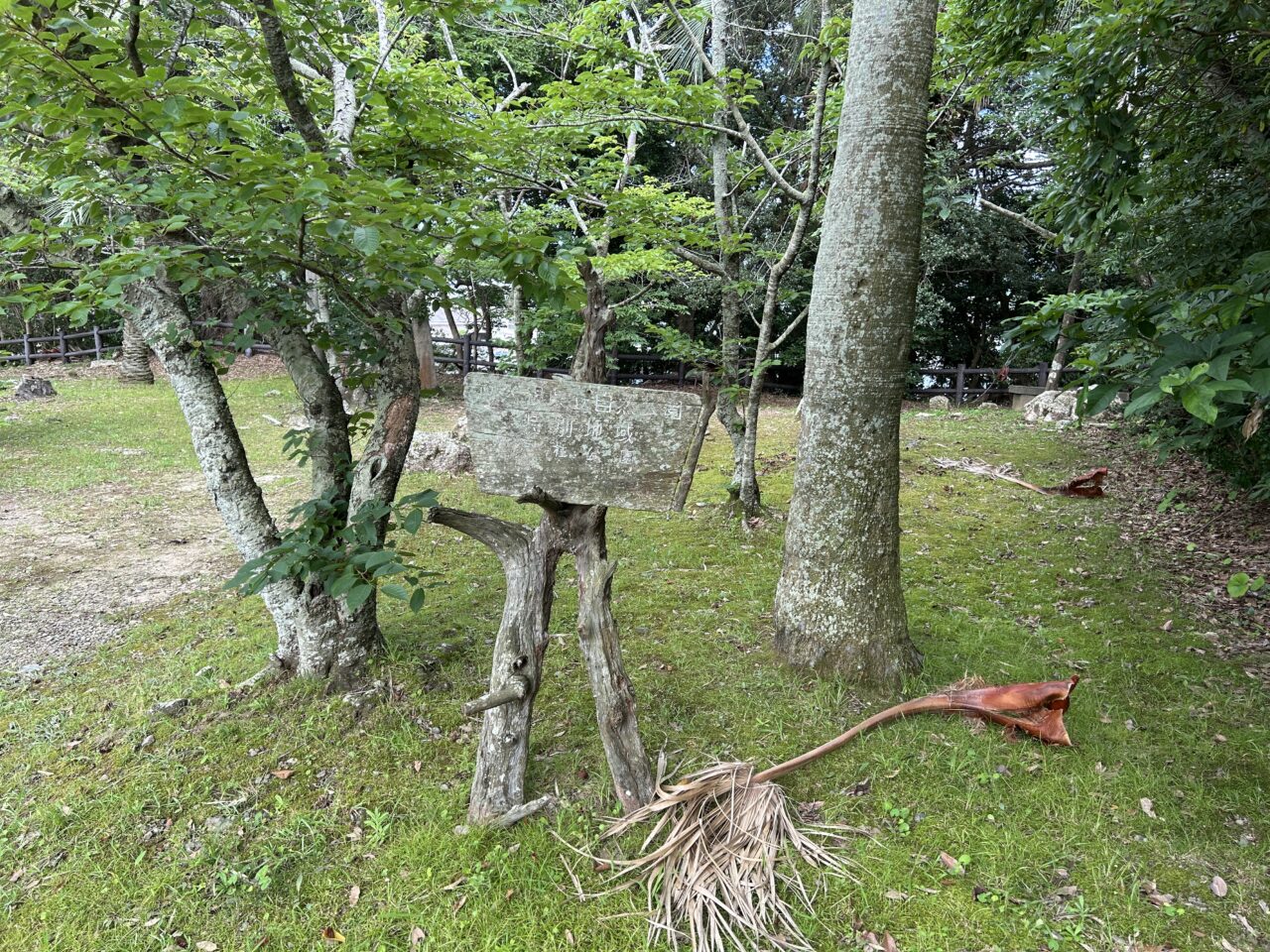 阿久根市護国神社の戸柱自然公園