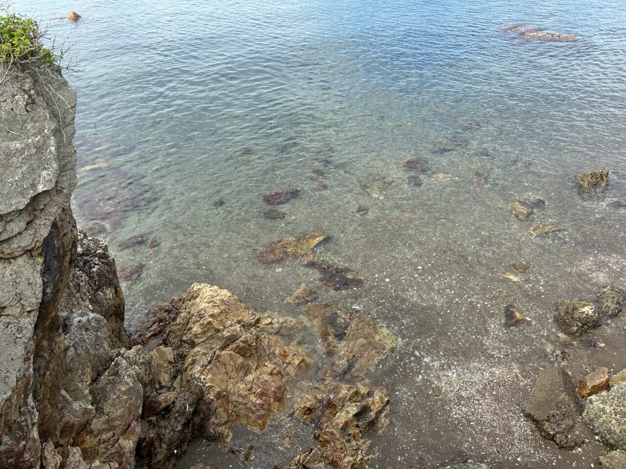 阿久根市光礁の水質