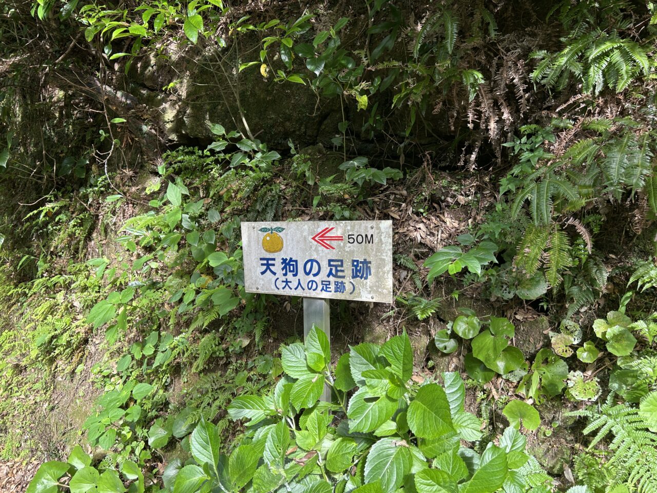阿久根市天狗の足跡の案内看板
