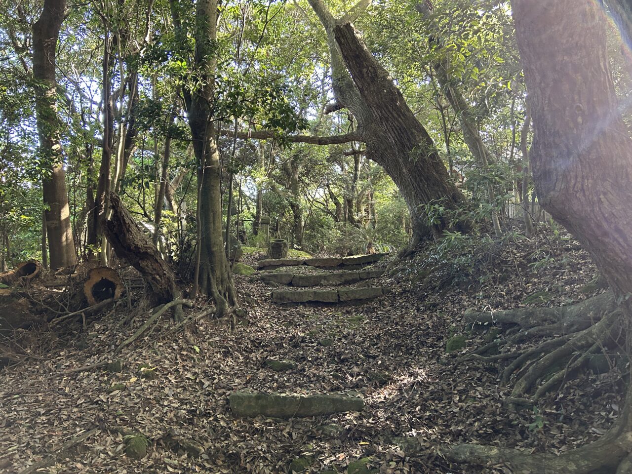 阿久根市天狗の足跡の山