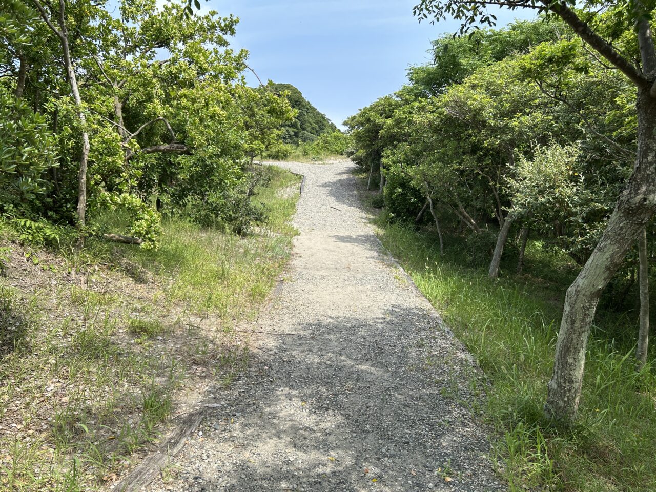 薩摩川内市放ちの鐘への道